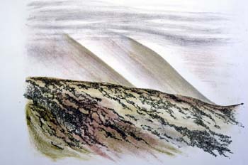 000_litho
