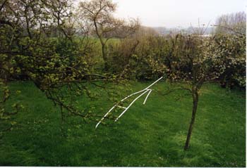 003a_scultuur1
