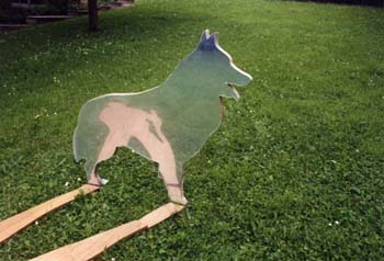 005c_hond3