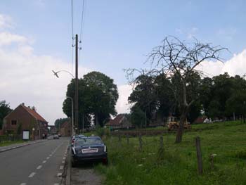 014b_4jDSCN0019